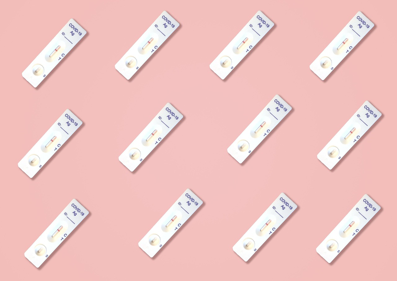 Personality Tests: Find – Best Career Fit Guide 2024